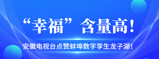 ?“幸?！焙扛?，安徽電視臺(tái)點(diǎn)贊蚌埠數(shù)字孿生龍子湖！